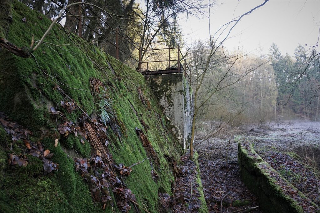 Mobile Mechanic Kagaru